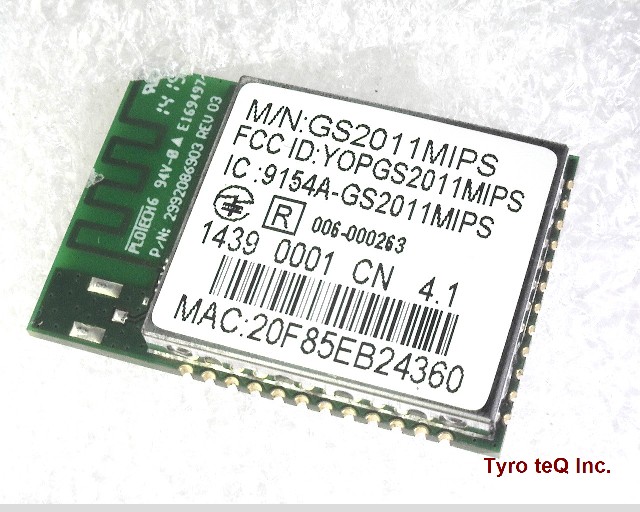 GS2011MIPS