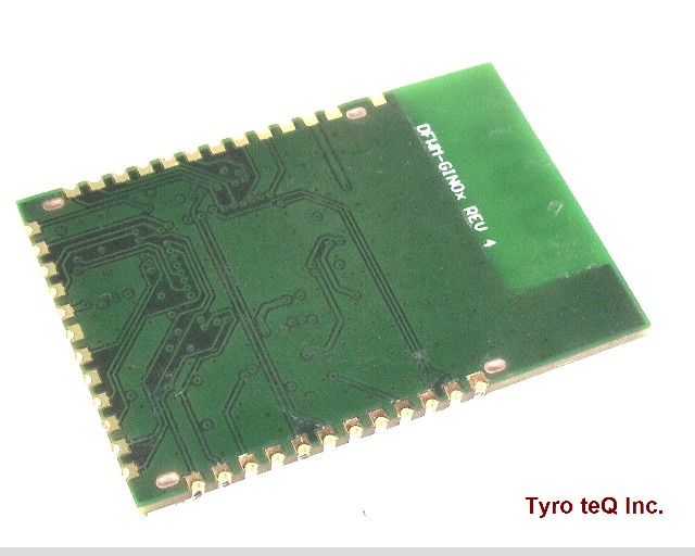 GS2011MIPS
