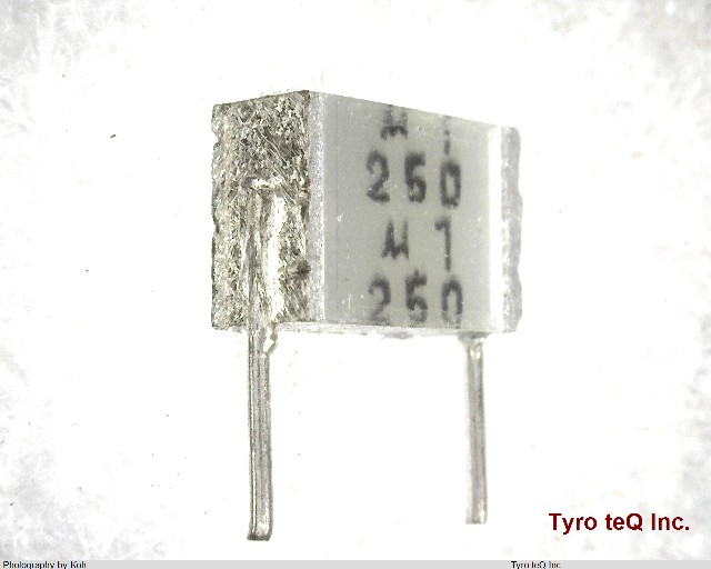 B32560J3104J