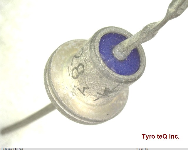 1S228