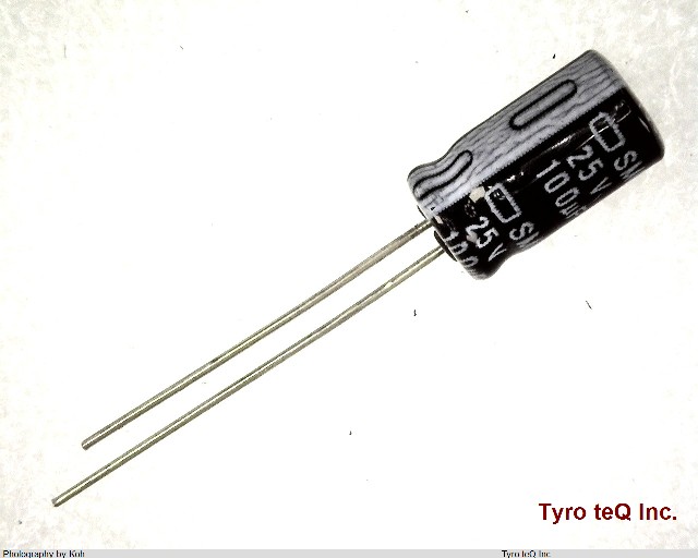 ESMG250ELL101MF11D