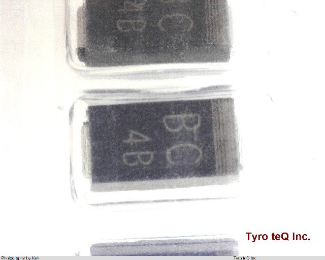 U1BC44TE12L