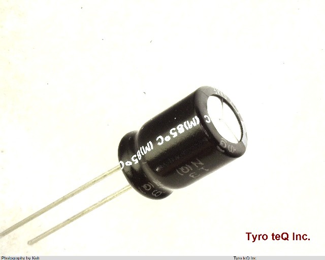 BSME350ELL101MJ16S