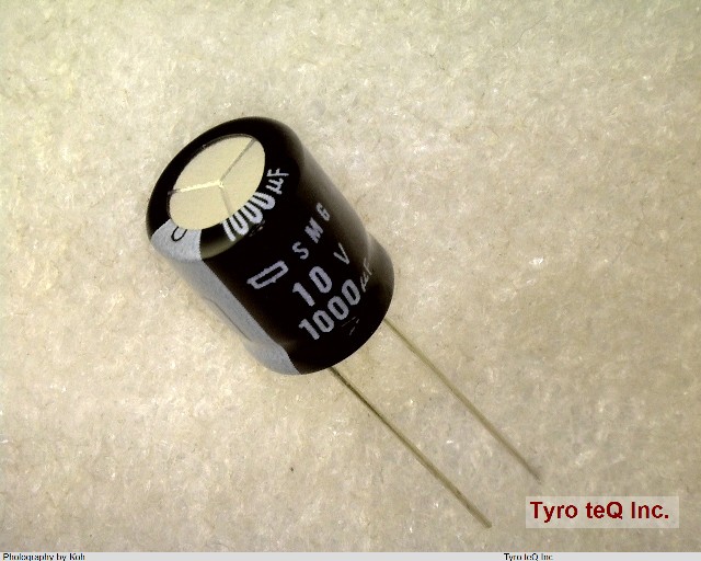 ESMG100ELL102MJC5S