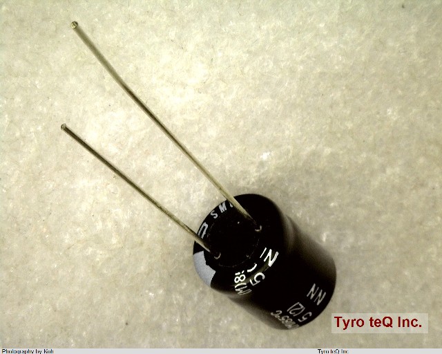 ESMG100ELL102MJC5S