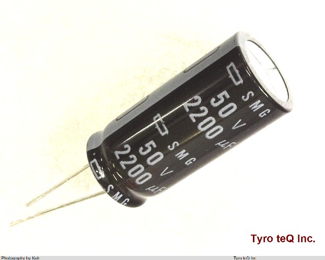 ESMG500ELL222MLP1S