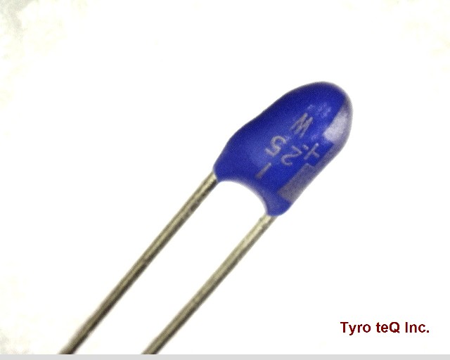 DN1E010M1S
