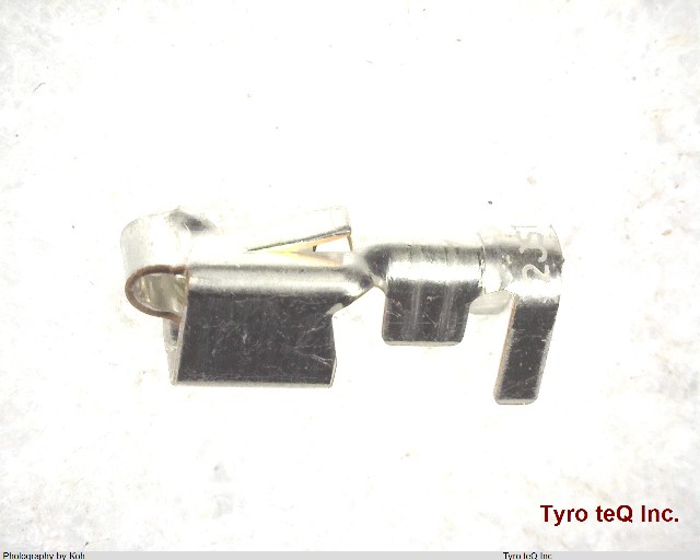 BVH-21T-P1.1