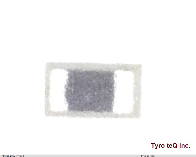RMC116S391JTH