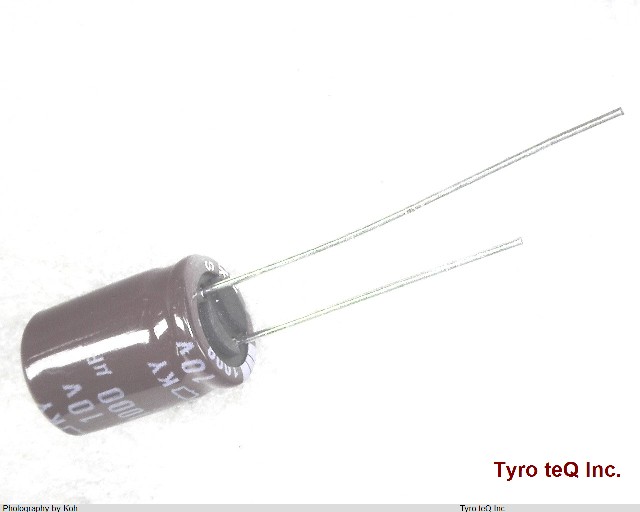 EKY-100ELL102MJ16S