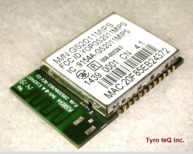 GS2011MIPS
