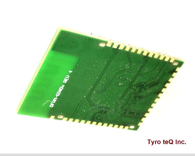 GS2011MIPS