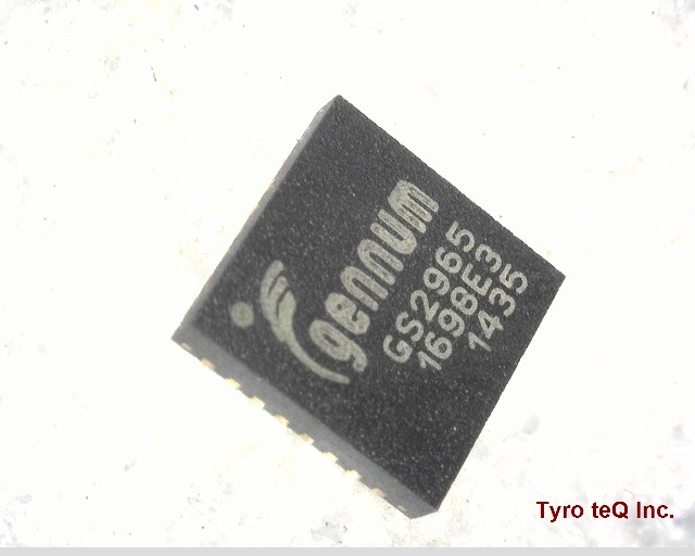 GS2965-INE3
