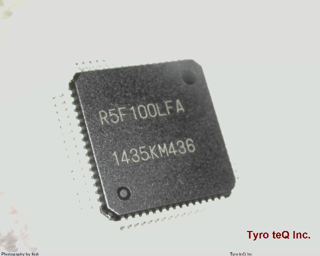R5F100LEAFB#V0