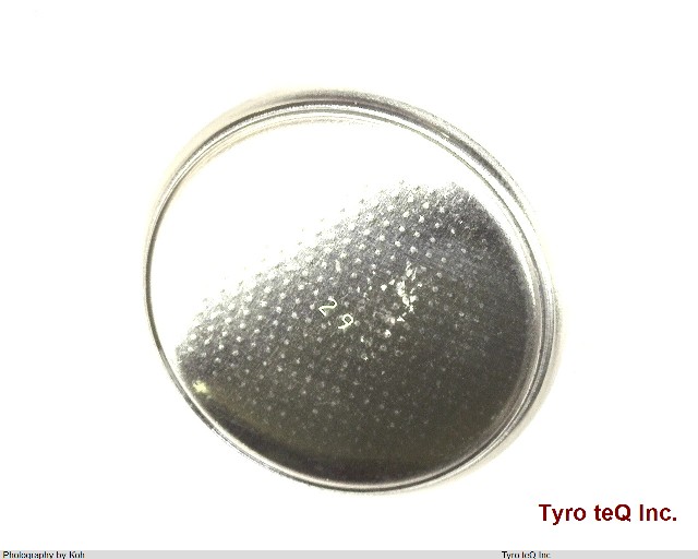 CR2032L/BK