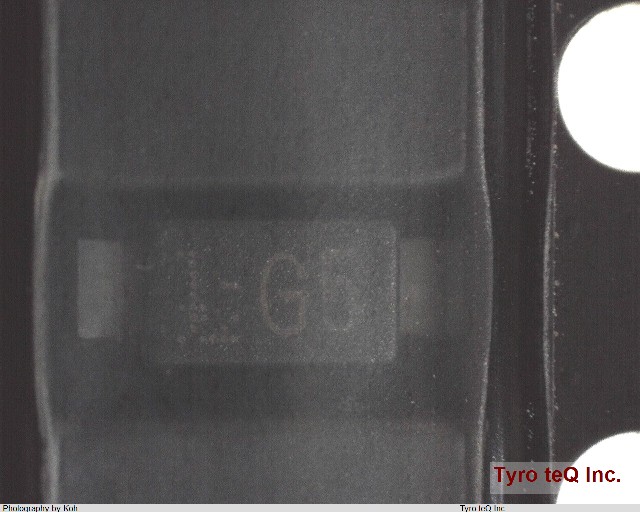 CRG05(T5L,TEMQ)