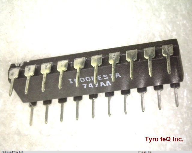 DS1229