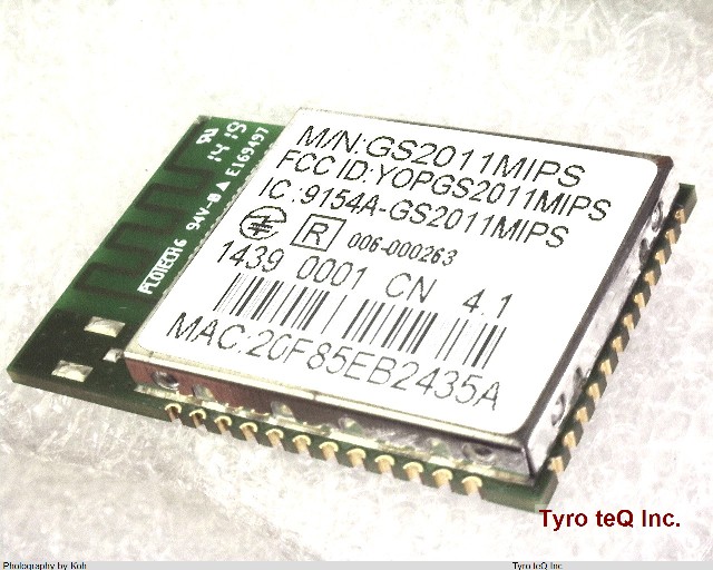 GS2011MIPS