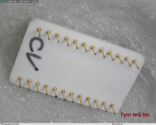DAC80-CCD-V