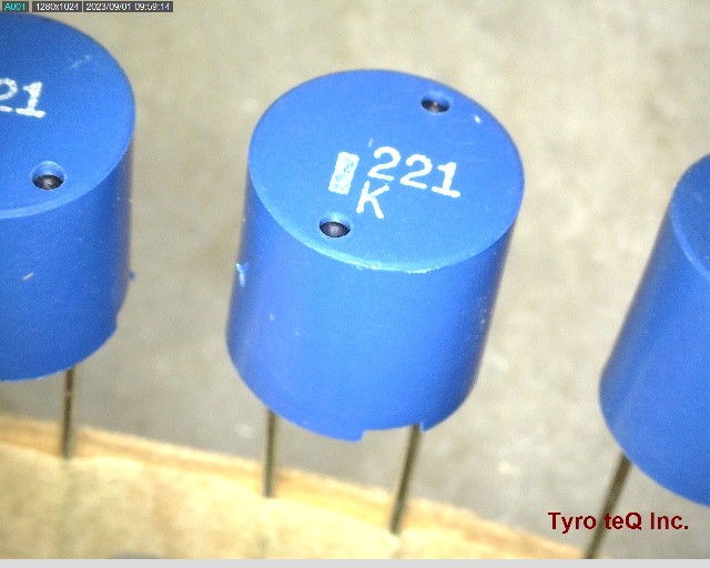 TSL0808RA-221KR54-PF