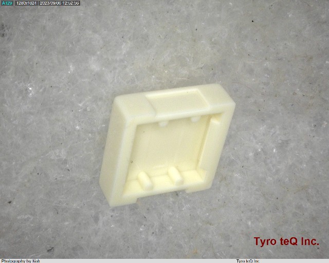 TZ0012