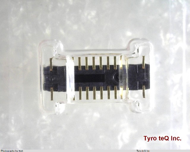 AXT420324