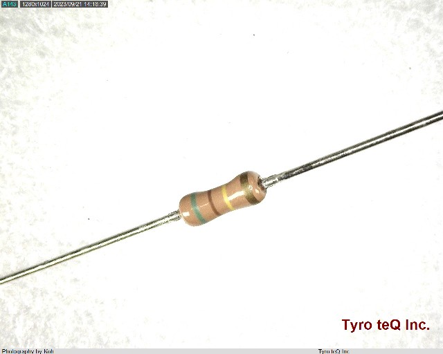 RD25J100KOHM