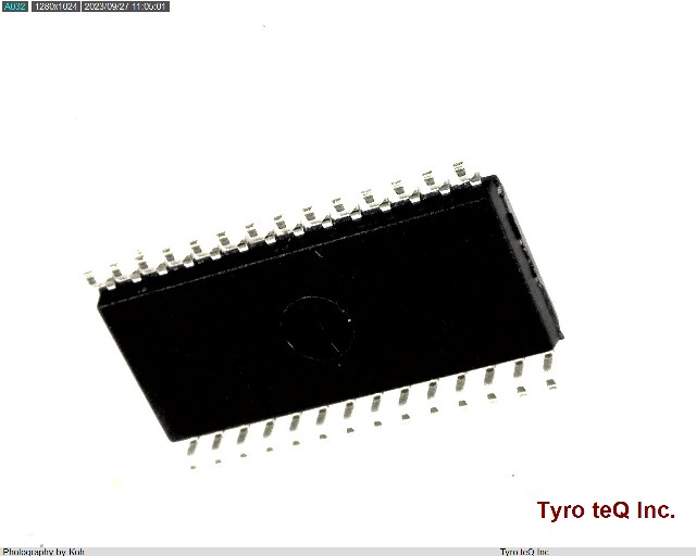 DSPIC33FJ64GP802-I/SO