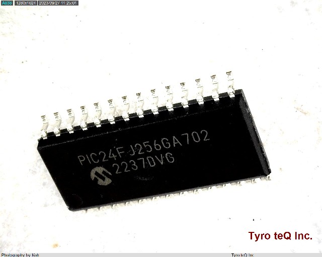 PIC24FJ256GA702-I/SO