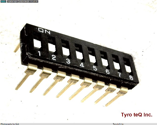 DS04-254-2L-08BK