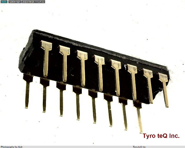 DS04-254-2L-08BK