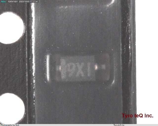 02DZ9.1-X