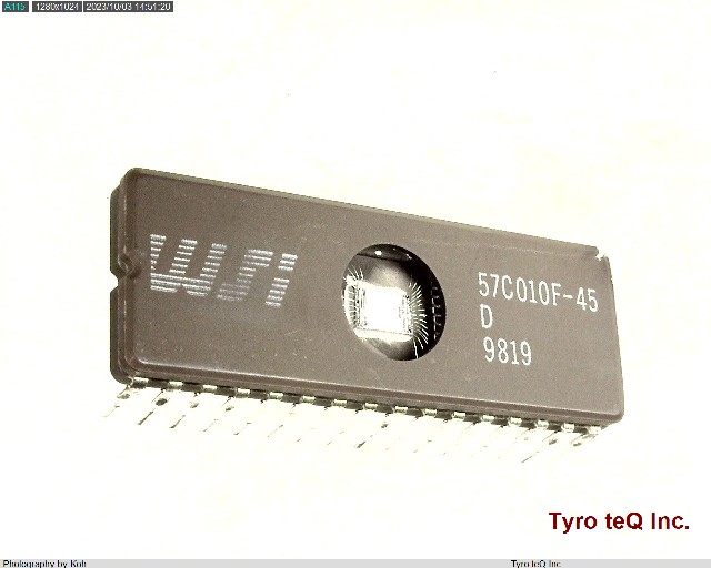 WS57C010F-45D