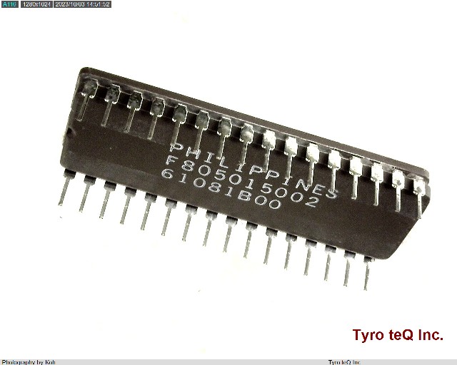 WS57C010F-45D