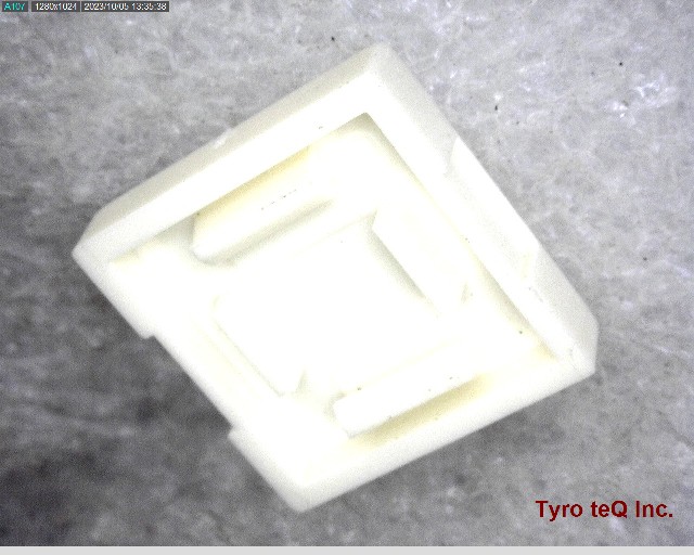 TZ0212