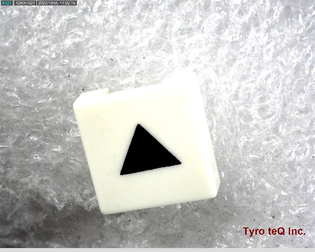 TZ0012