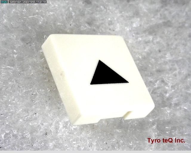 TZ0212
