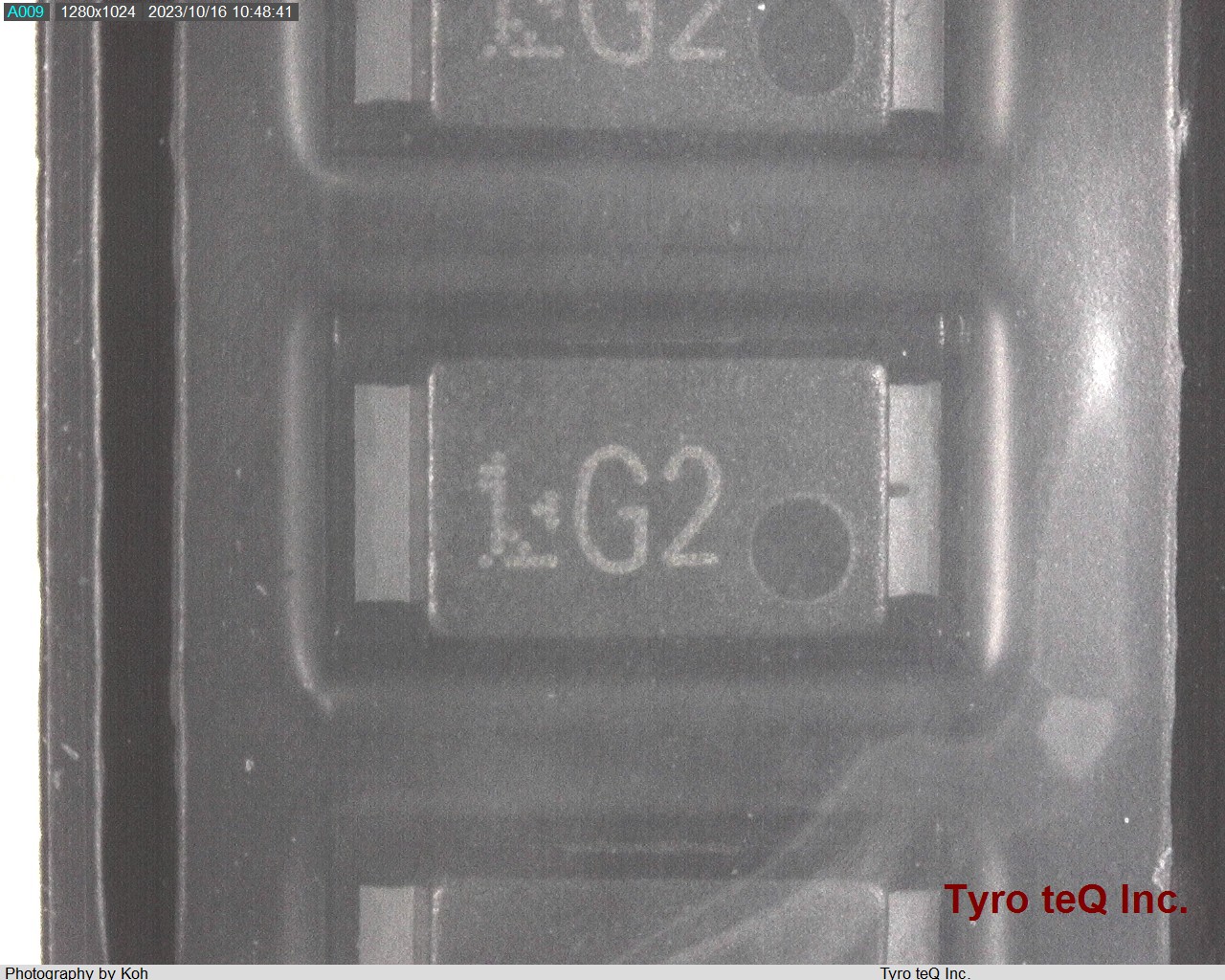 CMG02(T2L,TEMQ)