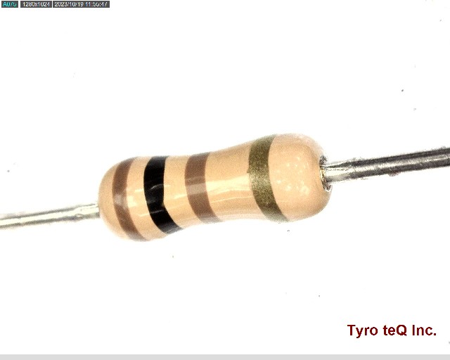 RD25J100KOHM