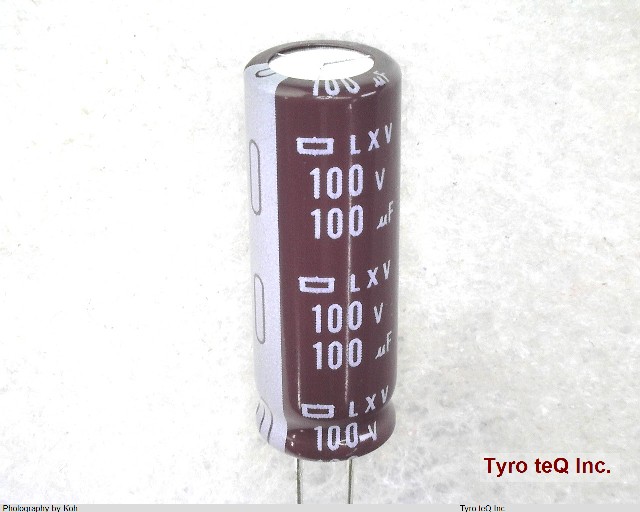 ELXV101ELL101MJ30S