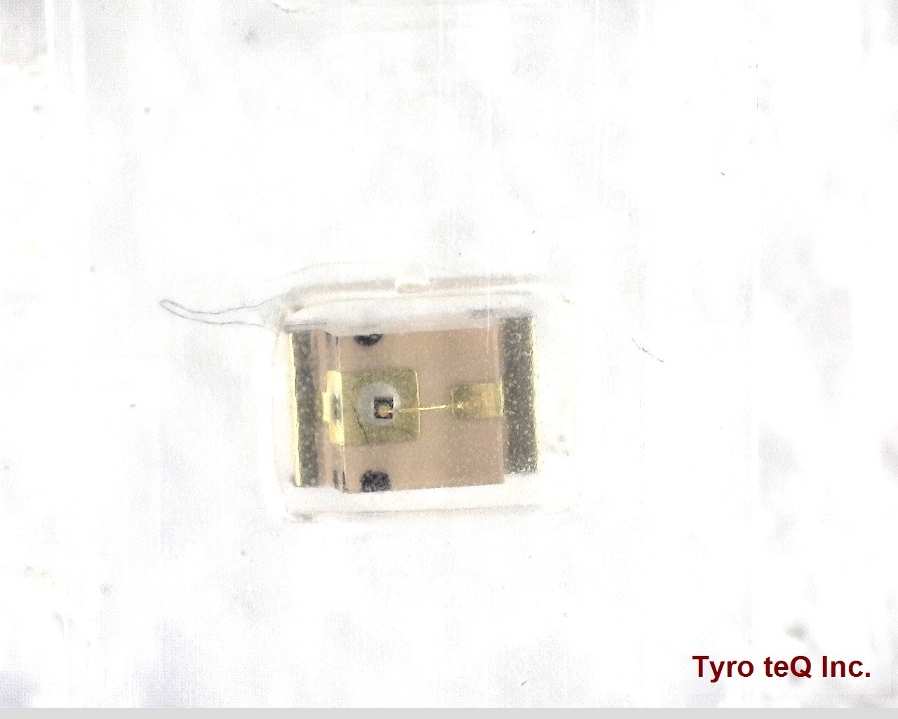 TLGU1002A(T02)