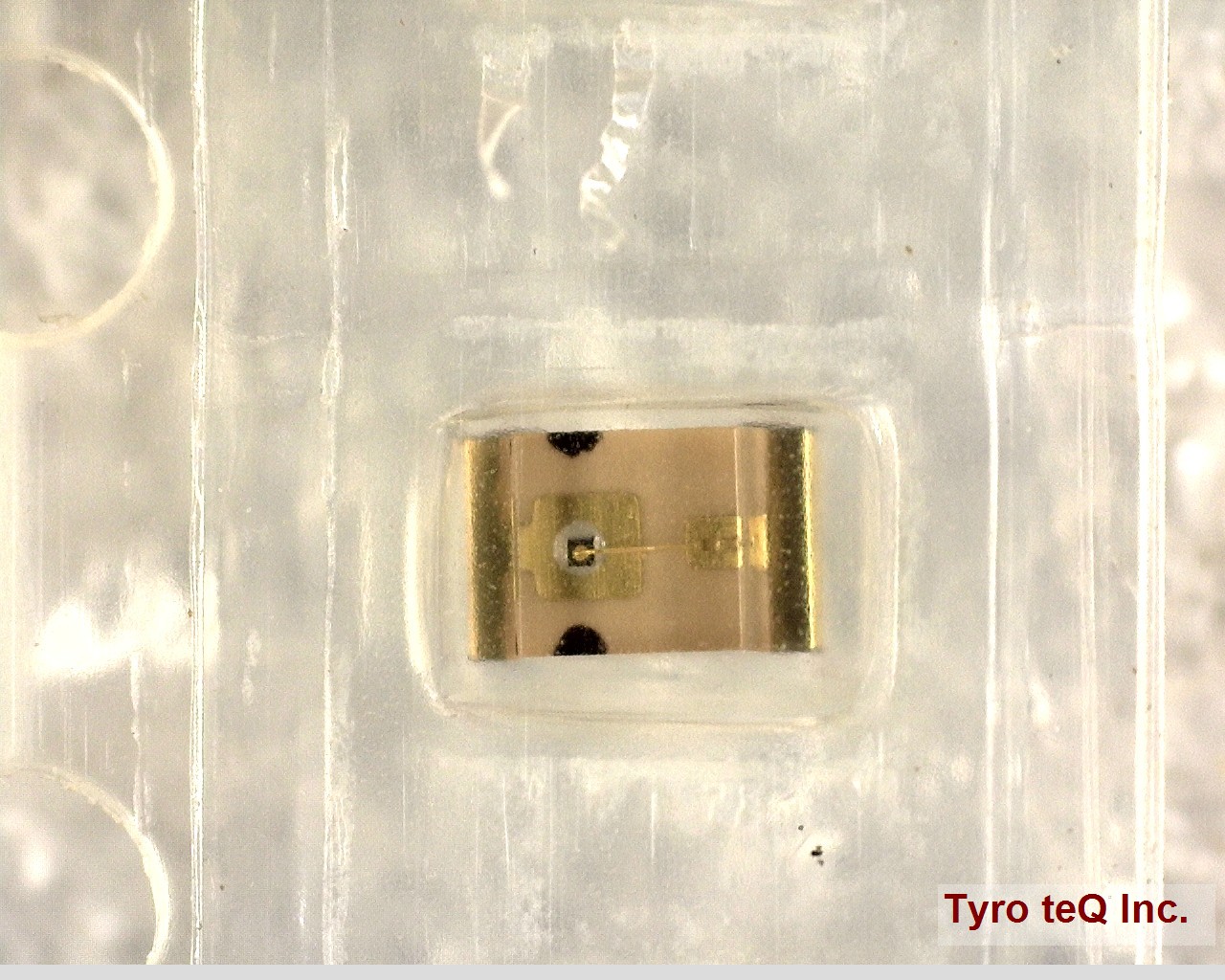 TLGU1002A(T02)