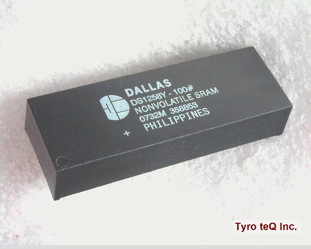 DS1258Y-100