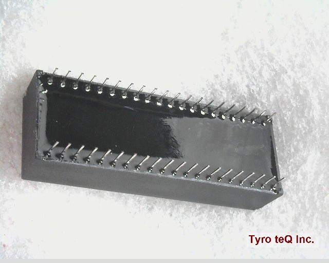 DS1258Y-100