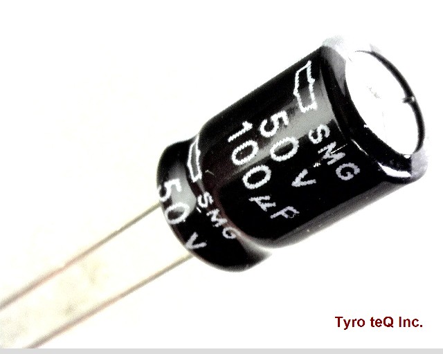 ESMG500ELL101MHB5D