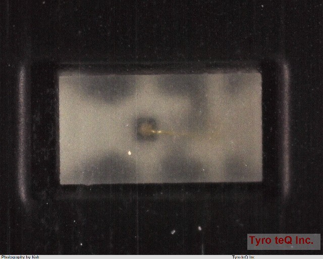 SSR-CLD-PQ1-1