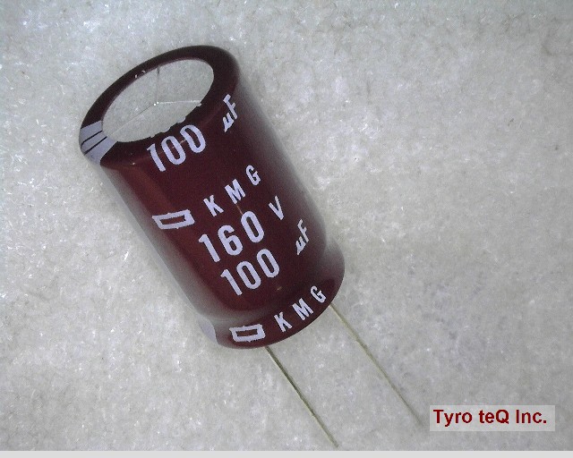 EKMG161ELL101ML25S
