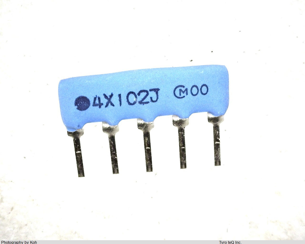 RGLD4X102J