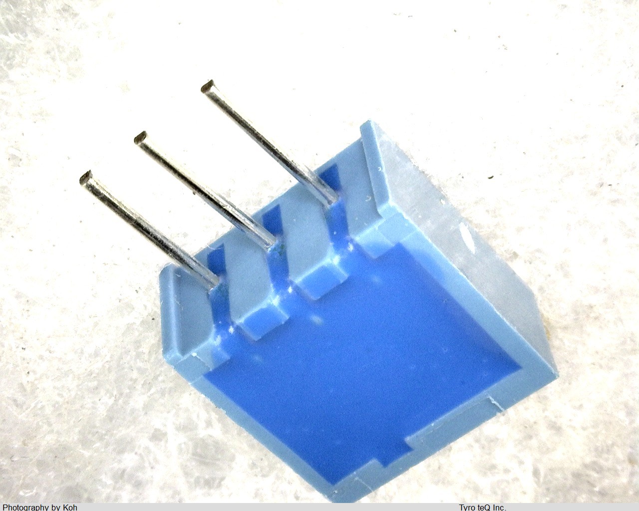 PV36W203C01B00