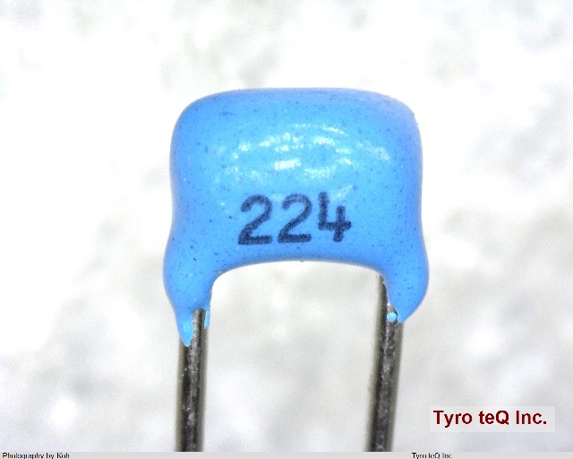 RPEF11H224Z1A1C01B